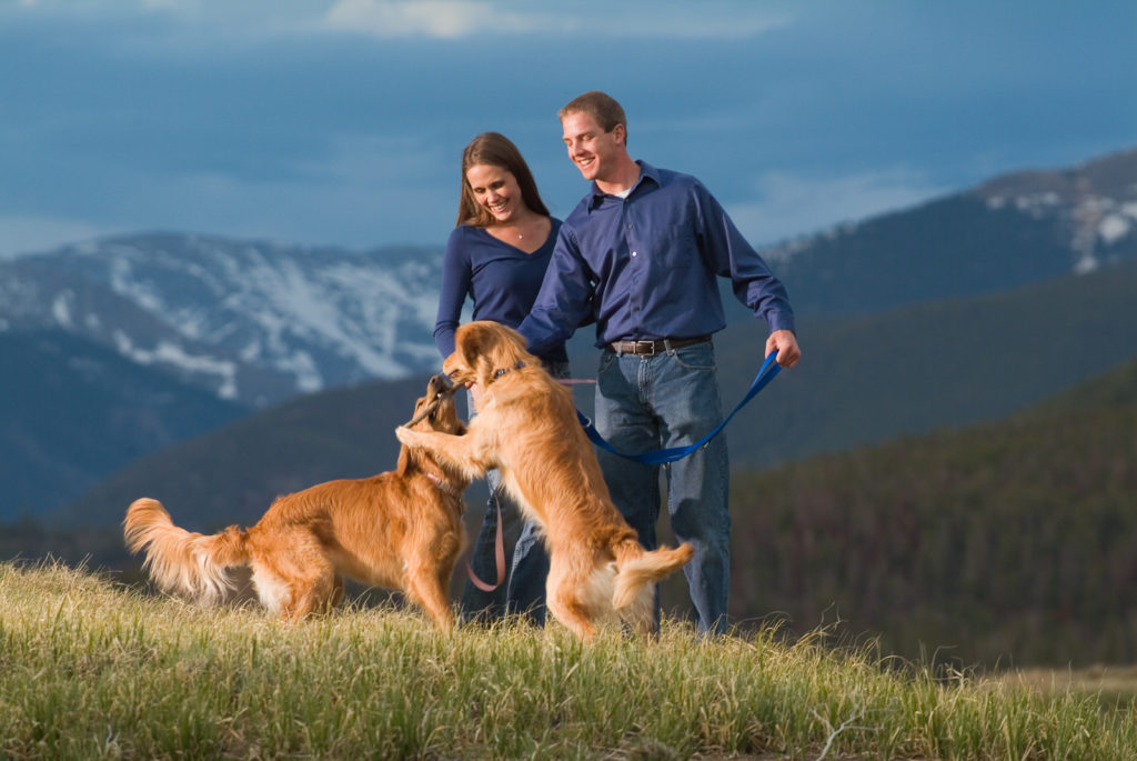 couples engagement photography